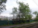 eliz13usl.jpg