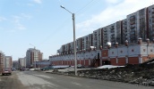 sib113.jpg