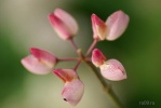 sg100847.jpg