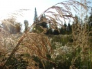 Файл=nat02.jpg
Объём=338KB
Размеры=1024x768
Дата=07 июля 2008 nat02.jpg