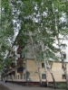 Файл=pm5803_1.jpg
Объём=339KB
Размеры=576x768
Дата=28 августа 2008 pm5803_1.jpg