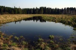 Файл=zalivnyeluga.jpg
Объём=190KB
Размеры=1152x768
Дата=25 сентября 2008 zalivnyeluga.jpg