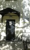 p1110624_1.jpg
