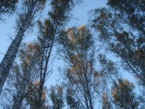 Файл=izobrazhenie_014_novyjj_razmer.jpg
Объём=340KB
Размеры=800x600
Дата=11 июня 2009 izobrazhenie_014_novyjj_razmer.jpg