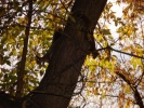 Файл=dsc02262.jpg
Объём=147KB
Размеры=640x480
Дата=06 апреля 2009 dsc02262.jpg