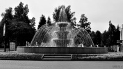 2019_06_25_0005_sw___novosobornaja.jpg