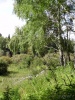 Файл=p8230067.jpg
Объём=347KB
Размеры=576x768
Дата=07 мая 2009 p8230067.jpg