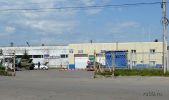 berezovaya8.jpg