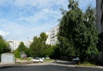 Файл=munniha3_1.jpg
Объём=334KB
Размеры=1024x704
Дата=17 августа 2009 munniha3_1.jpg