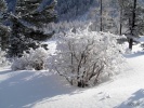 Файл=dscn6159.jpg
Объём=408KB
Размеры=1024x768
Дата=02 июня 2009 dscn6159.jpg