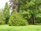 Файл=sochi_2008_071.jpg
Объём=511KB
Размеры=1024x768
Дата=02 июня 2009 sochi_2008_071.jpg