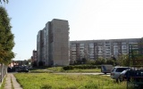sw40195_1.jpg