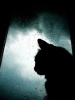 Файл=dream_away_the_storm_by_ytzeek.jpg
Объём=42KB
Размеры=240x320
Дата=13 сентября 2009 dream_away_the_storm_by_ytzeek.jpg