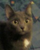 Файл=simona.jpg
Объём=4KB
Размеры=128x160
Дата=01 ноября 2009 simona.jpg