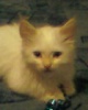 Файл=sp_a0806.jpg
Объём=4KB
Размеры=128x160
Дата=01 ноября 2009 sp_a0806.jpg
