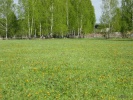 img_0630.jpg