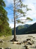 Файл=dsc01150.jpg
Объём=242KB
Размеры=575x768
Дата=06 декабря 2009 dsc01150.jpg