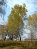 Файл=dsc04196.jpg
Объём=277KB
Размеры=576x768
Дата=06 декабря 2009 dsc04196.jpg