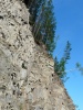 Файл=p1000846.jpg
Объём=249KB
Размеры=576x768
Дата=28 января 2010 p1000846.jpg
