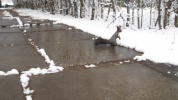 Файл=2009_10_15_052.jpg
Объём=292KB
Размеры=1368x768
Дата=01 февраля 2010 2009_10_15_052.jpg