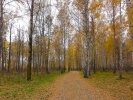 Файл=dsc03865_12_2.jpg
Объём=552KB
Размеры=1024x768
Дата=13 ноября 2011 dsc03865_12_2.jpg