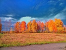 Файл=dsc05667_10__sh_2.jpg
Объём=436KB
Размеры=1024x768
Дата=15 октября 2013 dsc05667_10__sh_2.jpg