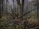 Файл=dsc06116_12khd__2.jpg
Объём=535KB
Размеры=1024x768
Дата=15 октября 2013 dsc06116_12khd__2.jpg