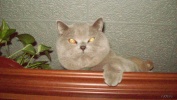 Файл=103_0233.jpg
Объём=393KB
Размеры=1365x768
Дата=01 декабря 2011 103_0233.jpg