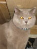 Файл=img_0012.jpg
Объём=173KB
Размеры=576x768
Дата=01 декабря 2011 img_0012.jpg
