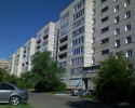 dsc00503.jpg