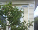 Файл=dsc00045.jpg
Объём=276KB
Размеры=960x768
Дата=18 сентября 2010 dsc00045.jpg
