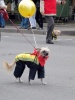 Файл=img_5597.jpg
Объём=317KB
Размеры=566x750
Дата=20 сентября 2010 img_5597.jpg
