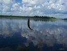 Файл=100_2171.jpg
Объём=174KB
Размеры=1022x768
Дата=07 ноября 2010 100_2171.jpg