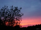 Файл=dsc00786.jpg
Объём=252KB
Размеры=1024x768
Дата=25 января 2011 dsc00786.jpg