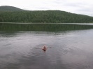 Файл=foto_0164.jpg
Объём=203KB
Размеры=1024x768
Дата=16 августа 2011 foto_0164.jpg