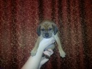 Файл=20121216_191014.jpg
Объём=200KB
Размеры=640x480
Дата=17 декабря 2012 20121216_191014.jpg