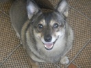 Файл=dscn2633.jpg
Объём=224KB
Размеры=640x480
Дата=17 декабря 2012 dscn2633.jpg