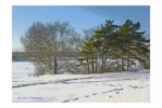 Файл=zimushka_zima_4111.jpg
Объём=56KB
Размеры=336x225
Дата=01 марта 2012 zimushka_zima_4111.jpg