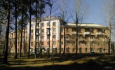 kalin13.jpg