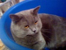 Файл=dsc00202.jpg
Объём=17KB
Размеры=400x300
Дата=06 ноября 2011 dsc00202.jpg