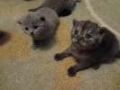 Файл=dsc02333.jpg
Объём=196KB
Размеры=640x480
Дата=20 июня 2012 dsc02333.jpg