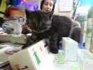 Файл=dsc02649.jpg
Объём=173KB
Размеры=640x480
Дата=20 июня 2012 dsc02649.jpg