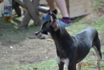 dsc_0696.jpg