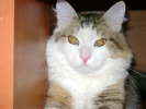 Файл=kopija_dsc03338.jpg
Объём=180KB
Размеры=1024x768
Дата=06 сентября 2012 kopija_dsc03338.jpg
