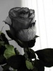 Файл=getimage_17.jpg
Объём=21KB
Размеры=360x480
Дата=14 ноября 2012 getimage_17.jpg