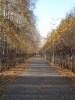 Файл=x_2523d279.jpg
Объём=56KB
Размеры=360x479
Дата=14 ноября 2012 x_2523d279.jpg