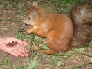 Файл=x_757d519c.jpg
Объём=103KB
Размеры=604x453
Дата=14 ноября 2012 x_757d519c.jpg