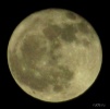 Файл=z_b82df5d5.jpg
Объём=82KB
Размеры=778x768
Дата=14 ноября 2012 z_b82df5d5.jpg
