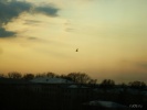 Файл=z_d36f1248.jpg
Объём=131KB
Размеры=1024x768
Дата=14 ноября 2012 z_d36f1248.jpg