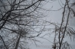 Файл=dsc_0065.jpg
Объём=352KB
Размеры=700x465
Дата=27 февраля 2013 dsc_0065.jpg